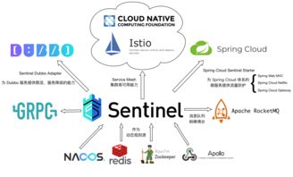 spring cloud alibaba sentinel 分布式系统的流量防卫兵初探